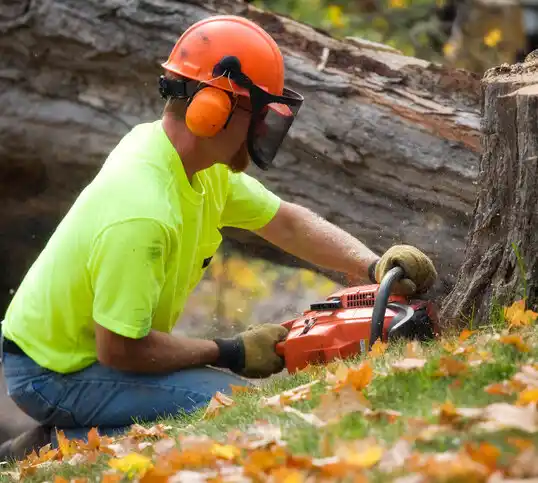 tree services Louisa